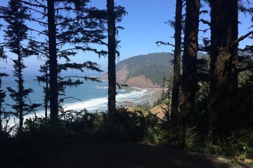 Oregon Coast Tour from Portland