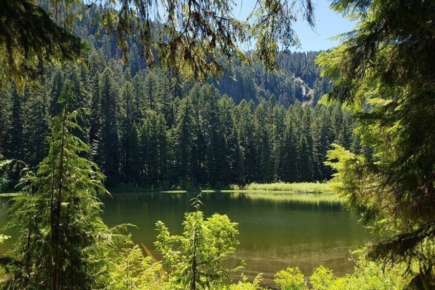 Mt. Hood/Gorge Waterfall Loop from Portland