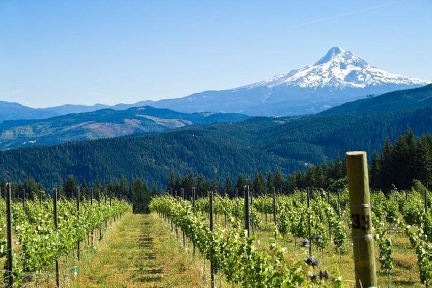 Mt. Hood/Gorge Waterfall Loop from Portland