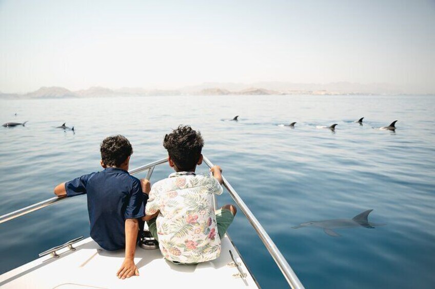 Oman Dolphin Watching Tours 