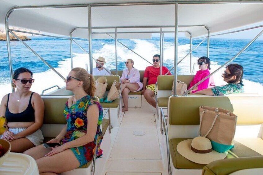 Oman Dolphin Watching Tours