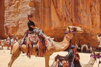 One Day Petra & Wadi Rum for 3 Travelers