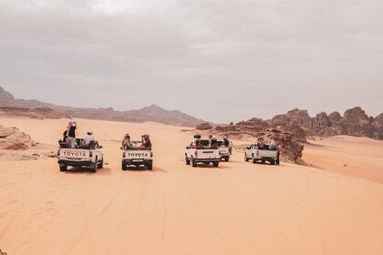 One Day Petra & Wadi Rum for 3 Travelers