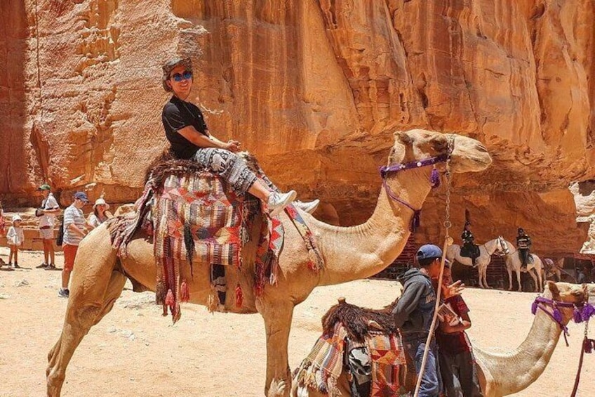 One Day Petra