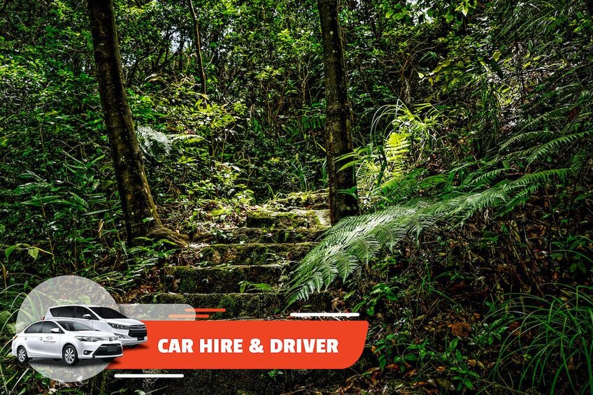 Car Hire & Driver: Full-day Bach Ma National Park from Hoi An