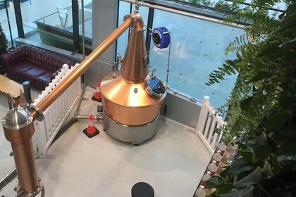 Master Gin Making Classes