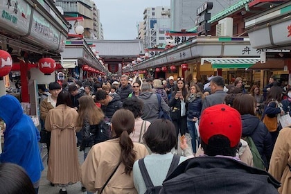 Tokyo Walking tour 6 hours (Tsukuji Fish Market, Asakusa, Ginza, Imperial P...