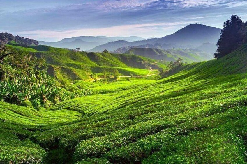 Kerala Honeymoon Special Package with Private Houseboat 