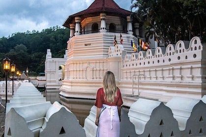 Kandy Sightseeing Day Tour from Kalutara / Wadduwa (All-inclusive)