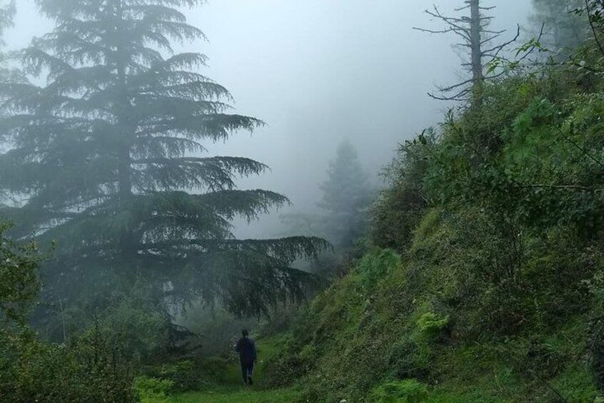 Trek to Deoban