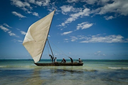 Pongwe Dhow Sailing