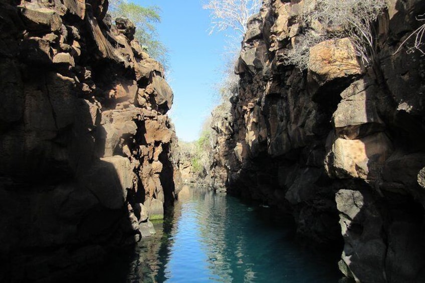 GALAPAGOS IDEAL (3Days)