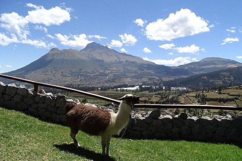 Private Full Day -Trip To Otavalo and surroundings