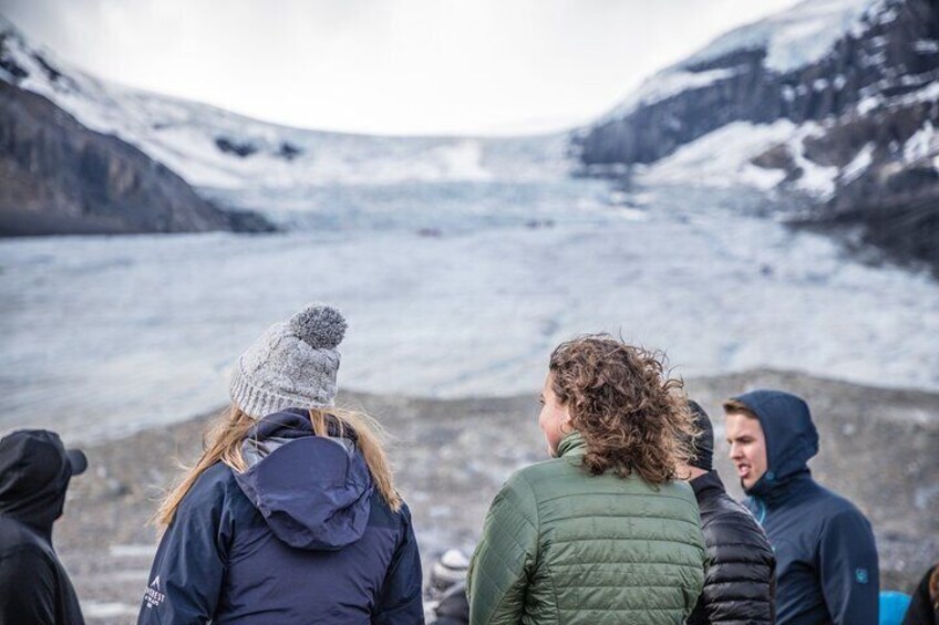 Athabasca - Experience the Moraine, Louise & Peyto Lakes (2-Days)