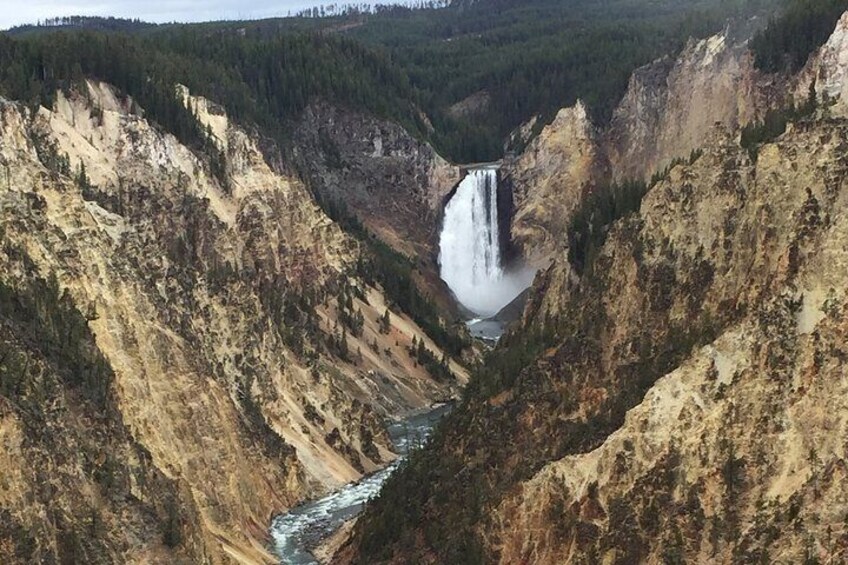 Yellowstone