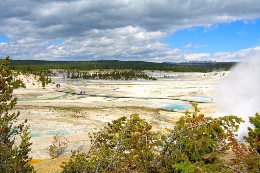 Geyser Basins Yellowstone