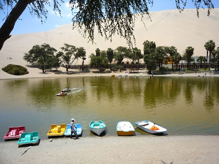  Pisco Route and Huacachina one day from Lima  