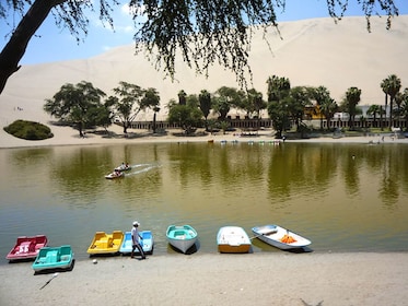  Pisco Route & Huacachina Day Trip from Lima  