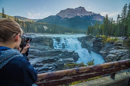 6-Day Rocky Mountains Wapiti Tour from Banff finish Vancouver
