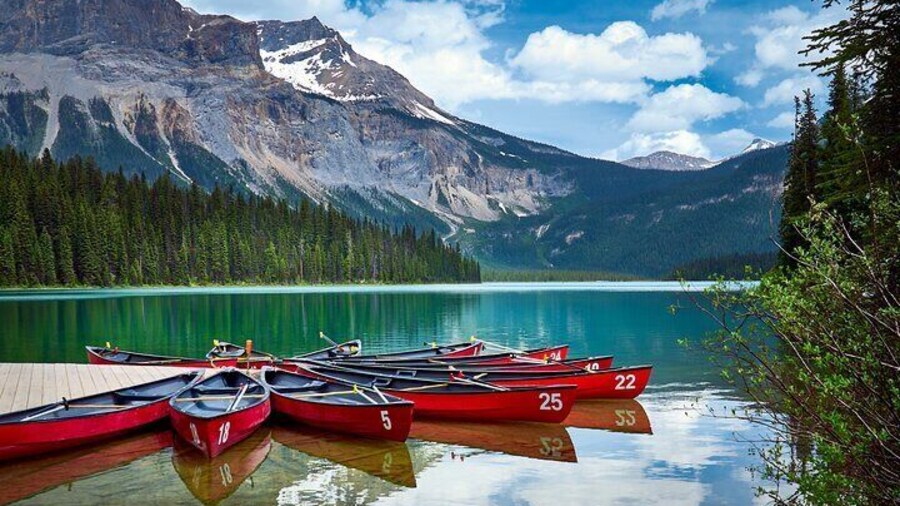 Wapiti - Uncover the Beauty of Western Canada