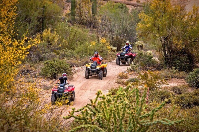 2-Hour Arizona Desert Guided Tour by ATV