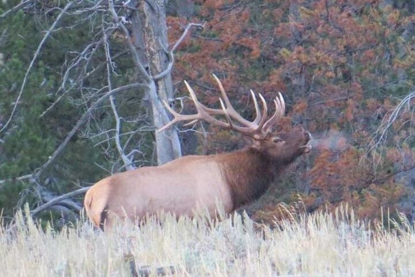 Grand Teton National Park - Sunrise Tour from Jackson Hole