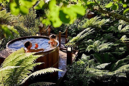 Rotorua Private tour with Hotspring