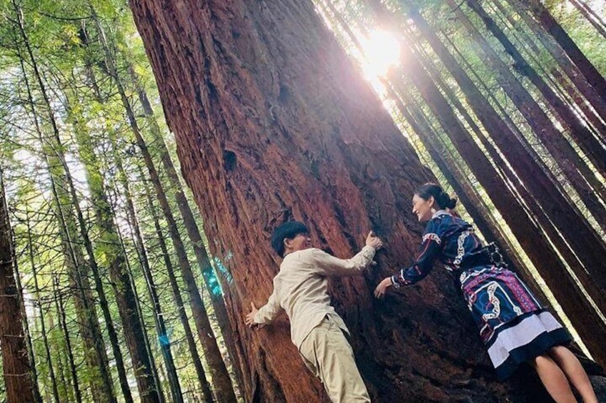 Rotorua Private tour with Hotspring