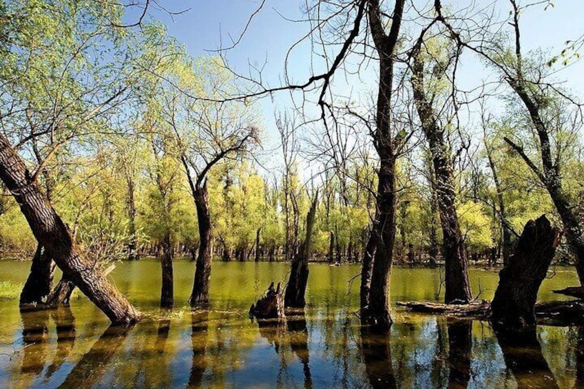 Kopački Rit Nature Park