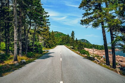 Acadia National Park Selbstgeführte Fahrtour