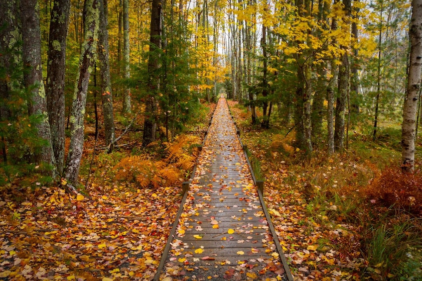 Acadia National Park Self-Guided Driving Tour