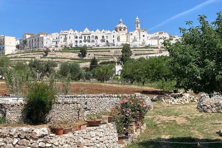 LOCOROTONDO - view