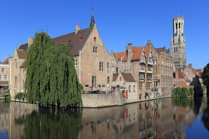 Excursión privada de un día desde Bruselas a Brujas