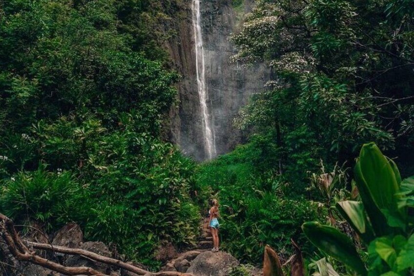 Road to Hana Tour - Best of Maui