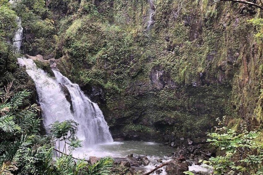 Road to Hana Private Tour