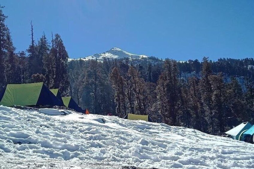 Campsite