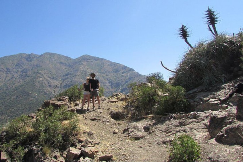 Hiking Tour in the Andes Mountains - Half Day Trip from Santiago