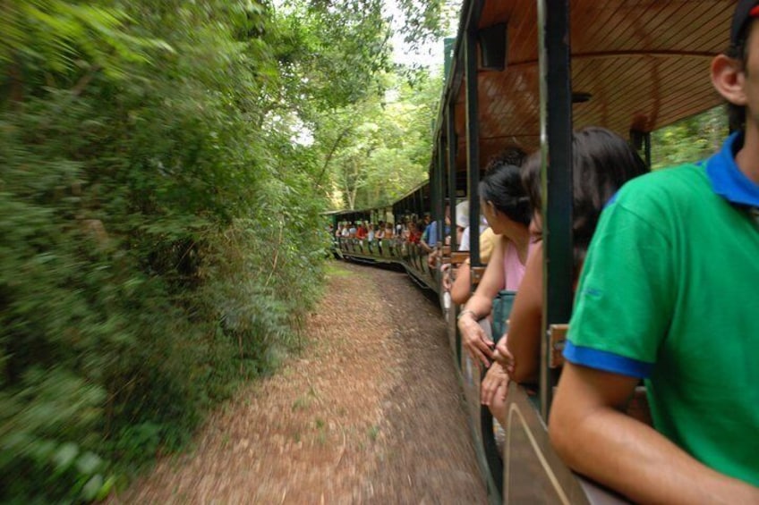 Iguazu Falls Tour, Boat Ride, Train, Safari Truck