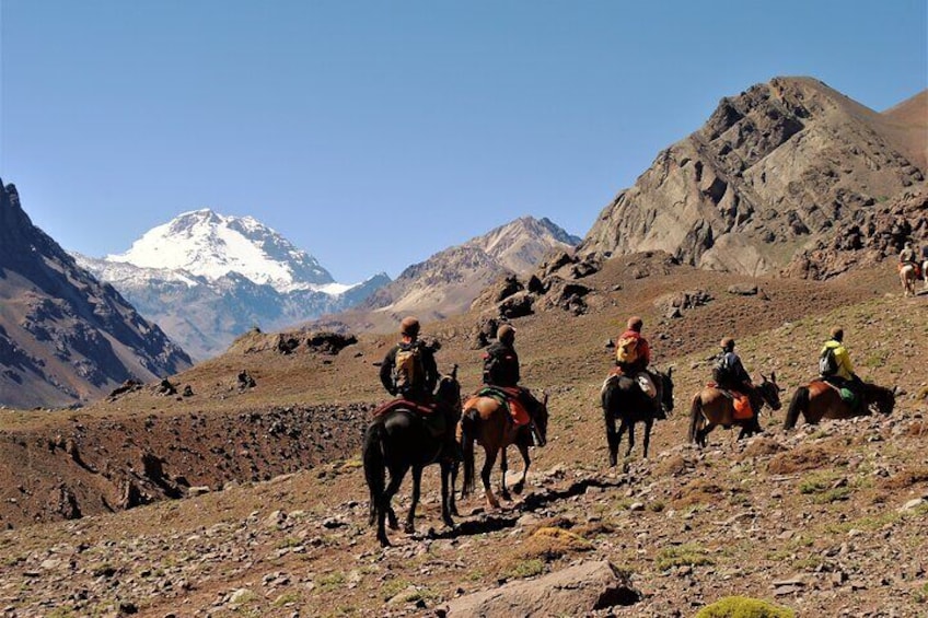 Mendoza horseback riding day tour