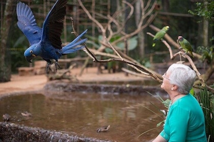 Itaipu Dam & Bird Park & Iguassu Falls Brazilian Side From Puerto Iguazu Ho...