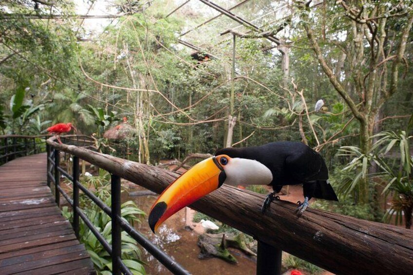 Bird Park
