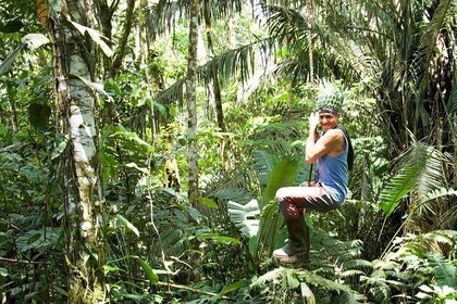 Tropical Escape: 3 Days Amazon Rainforest Tour from Quito