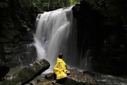 2 Full Days Exploring The Ecuadorian Amazon | Tour Start In Quito