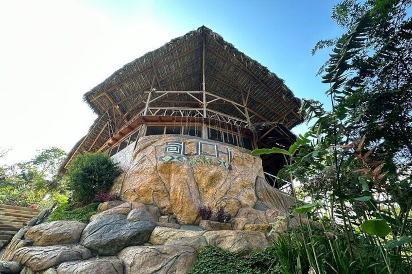 DAY 1 | Jungle Lodge