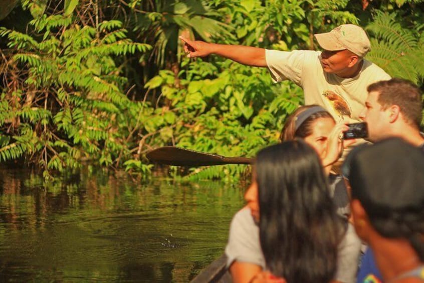 Day 9 - Jungle Trip - Napo