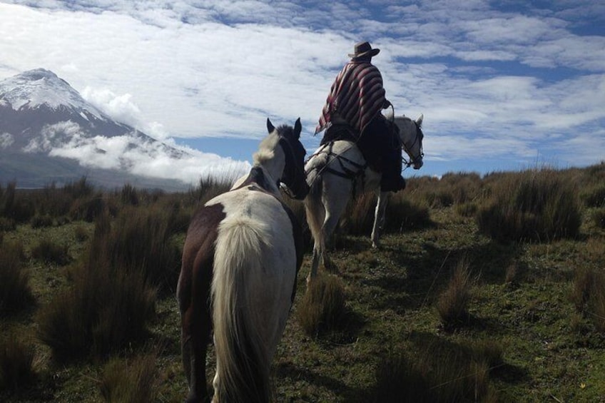 ride in the Cotopaxi National Park