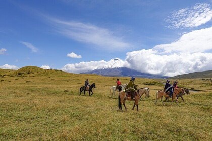 The Ultimate 6 Day Route through Ecuador's Andes and Amazon Tour