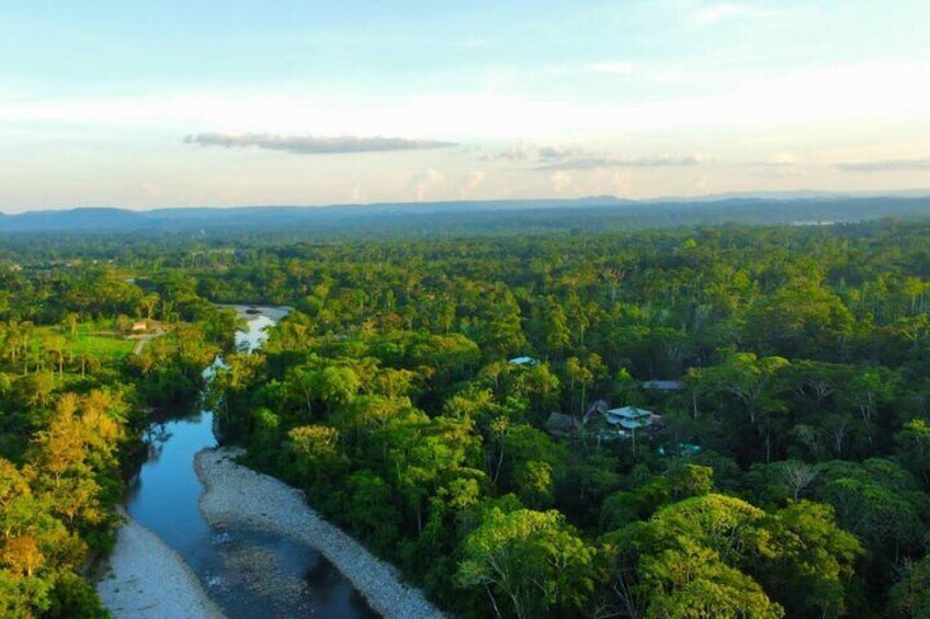 Jungle lodging