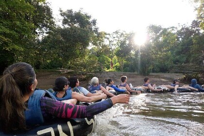 4 Day All Inclusive Amazon Jungle Adventure, transfer from Quito