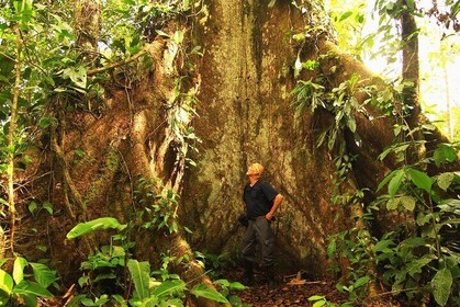 4 Days Explore the Ecuadorian Jungle near to Quito All Inclusive